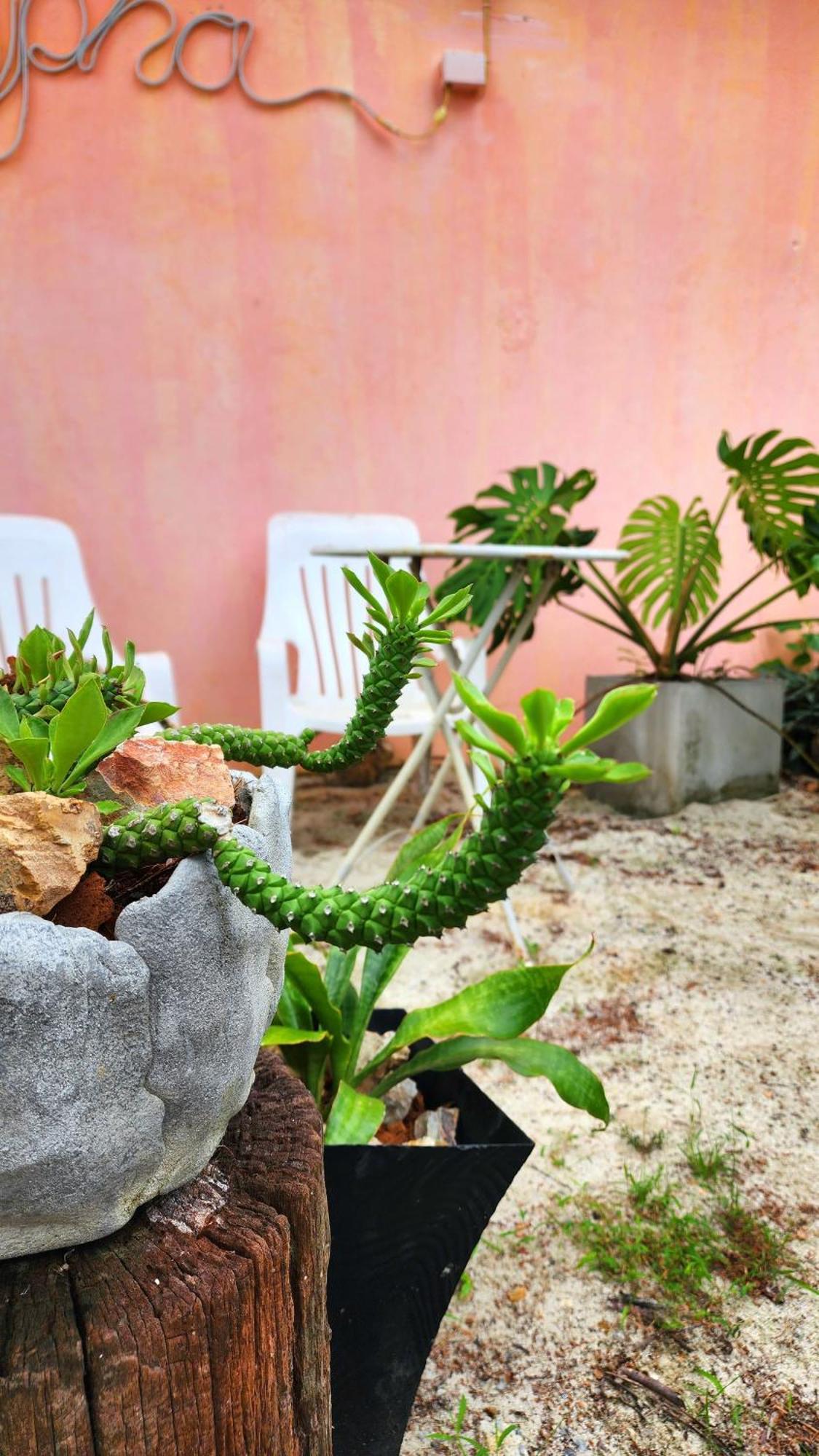 Ingpha Room For Rent Satun Ngoại thất bức ảnh